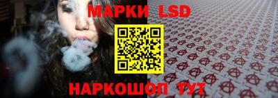 прущие грибы Кандалакша