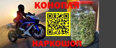 прущие грибы Кандалакша