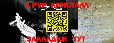 прущие грибы Кандалакша