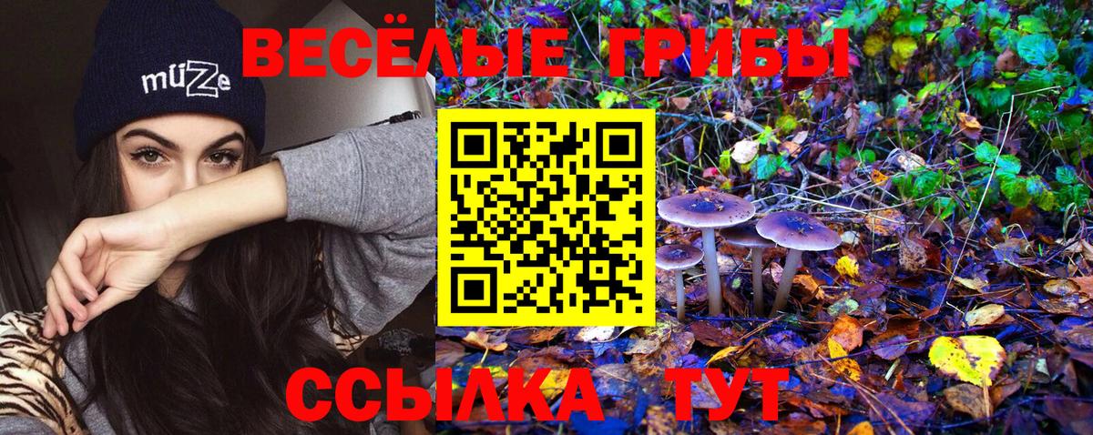 Галлюциногенные грибы Psilocybine cubensis Чебаркуль