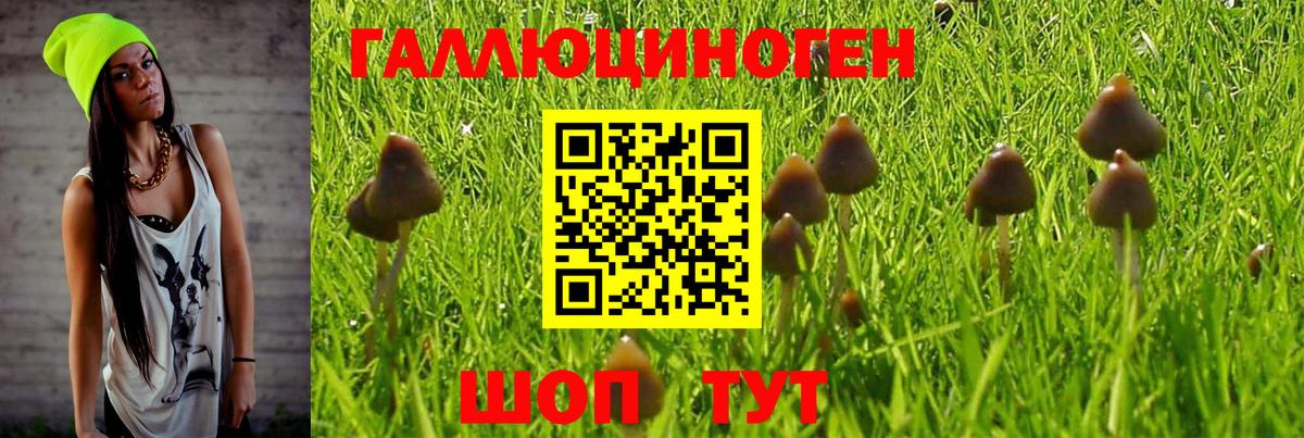 Чебаркуль  Галлюциногенные грибы Psilocybe  Вход с VPN 